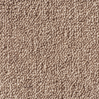 Ultima Twist Collection chicory