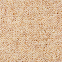 Ultima Twist Collection cookiemix