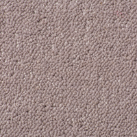 Ultima Twist Collection dolphin