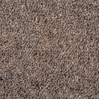 Ultima Twist Collection fossil