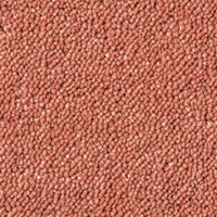 Ultima Twist Collection shell