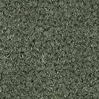 Westex Velvet Collection spruce